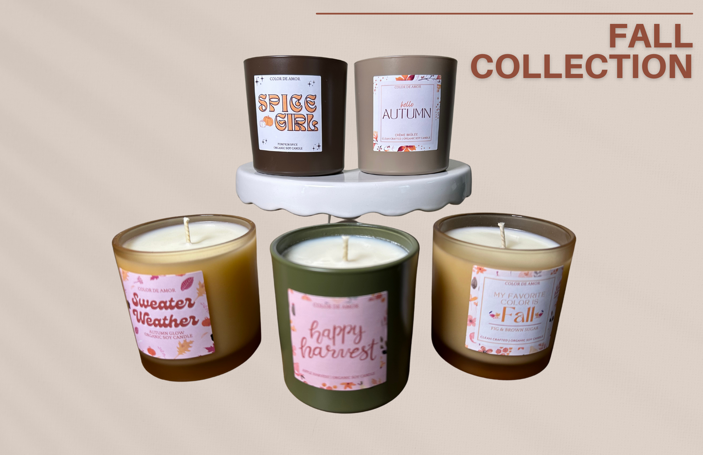 Fall Collection