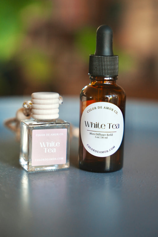 Mini Diffusers & Refills