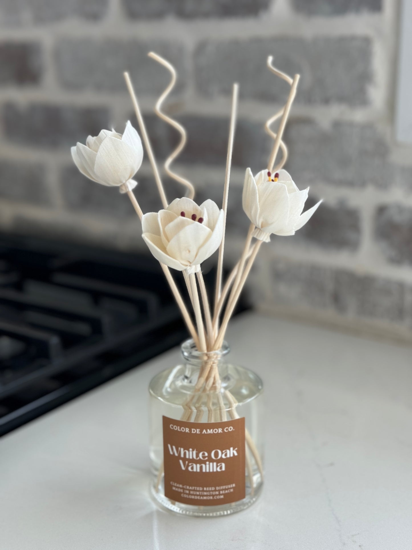 Reed Diffuser